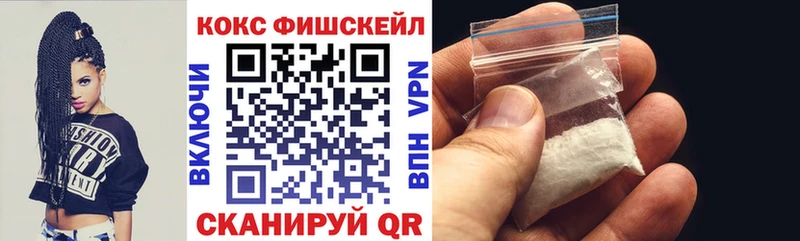 Cocaine FishScale  Купить закладки  Никольск 